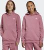 Adidas Adicolor Basisschool Hoodies online kopen